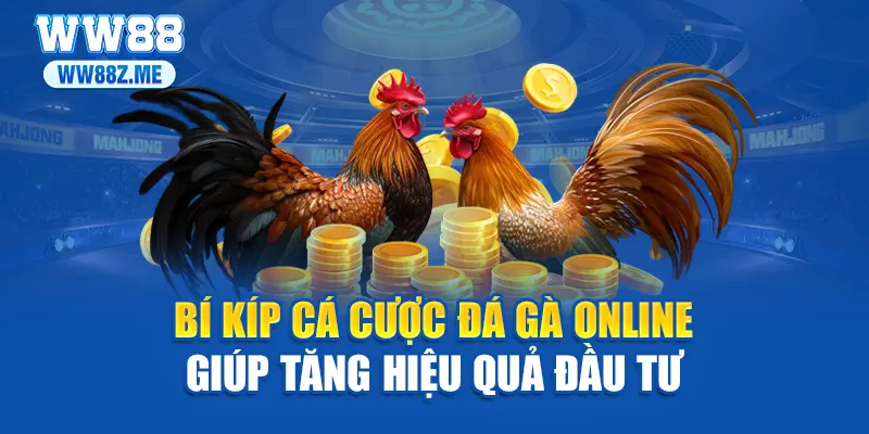 Bí kíp cá cược đá gà online giúp tăng hiệu quả đầu tư