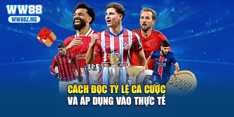 Cách đọc tỷ lệ cá cược và áp dụng vào thực tế