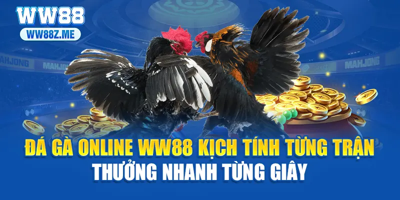 Đá Gà Online WW88 Kịch Tính Từng Trận Thưởng Nhanh Từng Giây