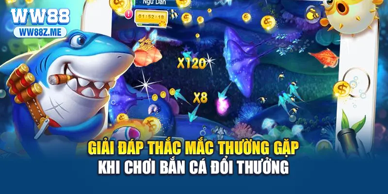 Giải đáp thắc mắc thường gặp khi chơi bắn cá đổi thưởng