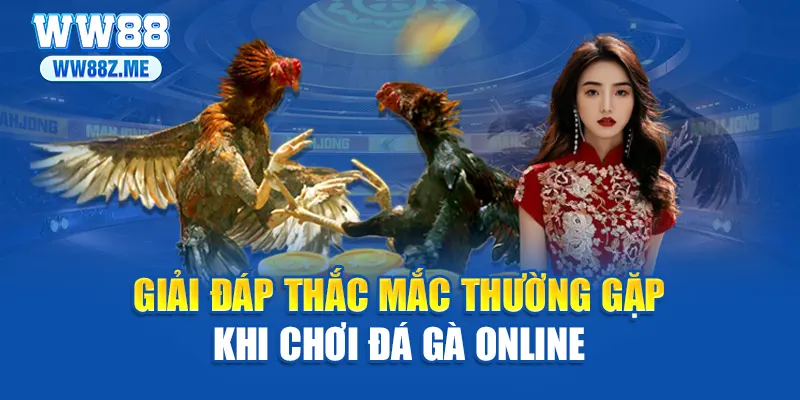 Giải đáp thắc mắc thường gặp khi chơi đá gà online